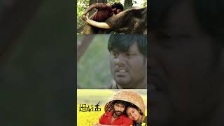 பொண்ணுக்கு connection குடுக்க அலையறான் Kumki  Vikram Prabhu  Lakshmi Menon [upl. by Utham]