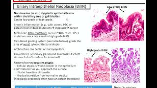 Gallbladder and Extrahepatic Bile Duct Tumors Kurts Notes pathagonia [upl. by Sklar]