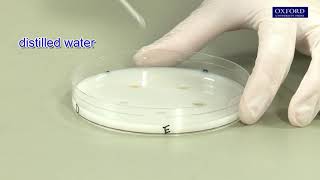 Practical 46 Design an investigation of protease activity in different fruit juices [upl. by Aicekal]