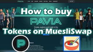 How to buy Pavia Coins on Cardano DEX [upl. by Glori]