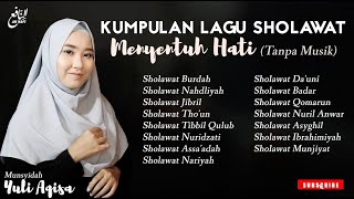 KUMPULAN SHOLAWAT TANPA MUSIK Suaranya bikin hati tenang  An Nafi [upl. by Jude897]