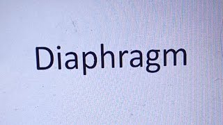 HDF is live Diaphragm Anatomy [upl. by Nayrda]