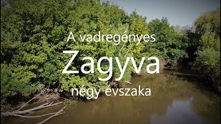 A vadregényes ZagyvaNégy évszaka [upl. by Arataj237]