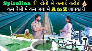 Spirulina की खेती कम जगा कम पैसे मे कमाओ करोडो Spirulina farming spirulina [upl. by Niddala]