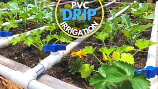 PVC Drip Irrigation System  EASY DIY [upl. by Arimay]