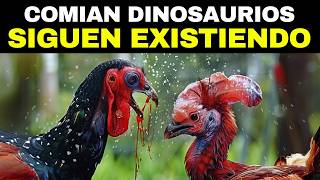 Las 20 Aves Prehistóricas Más Mortíferas que Nunca Supiste que Existían [upl. by Yaron531]