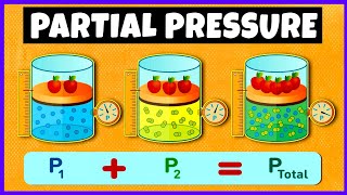 Partial Pressure  Daltons Law of Partial Pressure [upl. by Eberhard27]