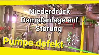 Niederdruck Dampfkessel Loos 7000kgh auf Störung  Doku [upl. by Enileuqkcaj]