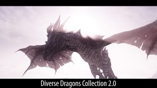 MORE EPIC DRAGONS Skyrim Mods  Diverse Dragons Collection 20 [upl. by Palmore]