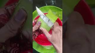 How to make aloe vera gel at home100pure and fresh [upl. by Harilda]