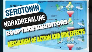 Serotonin Noradrenaline Reuptake Inhibitors  SNRIs  Mechanism of Action and Side effects [upl. by Marrissa]