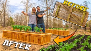 Transforming Rotten Fence into RAISED GARDEN BED  DIY Build [upl. by Willabella962]