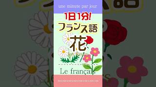 1日1分フランス語☆お花☆フランス語 英語 1日1分フランス語 フランス語単語 フランス語聞き流し [upl. by Finnigan]