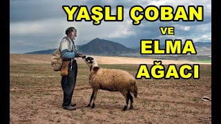 Yaşlı çoban ve elma ağacı  ibretlik dini hikayeler  kısa kıssa [upl. by Saks]