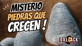 DESCUBREN QUE LAS PIEDRAS CRECEN   Oxlack Investigador [upl. by Kinghorn340]