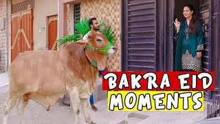 Bakra eid moments 2020 by Peshori vines [upl. by Joyann157]