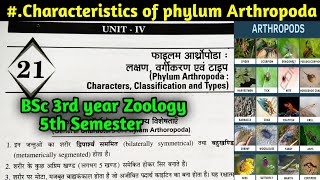 General Characteristics of Phylum Arthropoda in Hindi  BSc 3rd year Zoology 5th Semester [upl. by Atteiluj746]