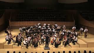 ALEXANDER BORODIN Symphony No 2 in B minor [upl. by Nellek]