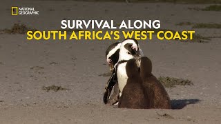 Survival on the Edge  Africas Deadly Kingdom  हिंदी  Full Episode  S1  E2  Nat Geo Wild [upl. by Odla]