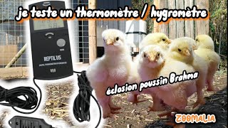 hygrometre thermometre [upl. by Eesdnil]