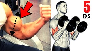 5 BEST BICEPS EXERCISES AT HOME WITH DUMBELLS ONLY  SUPER EXERCISES MUSCULATION BICEPS HALTERES [upl. by Hemphill]