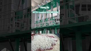 60T Rice Processing Machine Manufacturer for Sale ricemillsupplier ricemill ricemillplant [upl. by Ilrahc279]