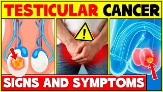 Early Signs And Symptoms Of Testicular Cancer  How To Identify Testicular Cancer [upl. by Nave]