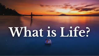 What is Life  English songs with lyrics  English song lyrics [upl. by Silbahc807]