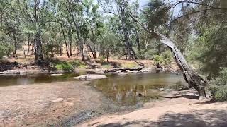 Toodyay Cobbler Pool Free Camp Near Perth Dog Friendly 66km From Midland Lovely Setting on the River [upl. by Abrahamsen]