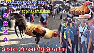 PinakaMALAKAS na BENTAHAN Ng MANOK sa Probinsya Ng BATANGAS padre Garcia batangas Feb 2024 [upl. by Janelle]