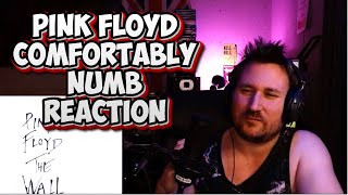 PINK FLOYD COMFORTABLY NUMB REACTION [upl. by Aillemac]