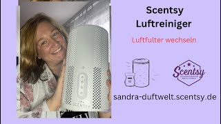 Scentsy Luftreiniger Luftfilter wechseln und was der alte geleistet hat [upl. by Krauss]