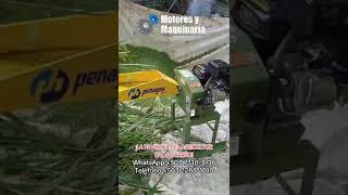 LA PICADORA IDEAL PARA PEQUEÑOS PRODUCTORES 🧑🏻‍🌾🇸🇻 agriculture farming elsalvador shorts [upl. by Swan]