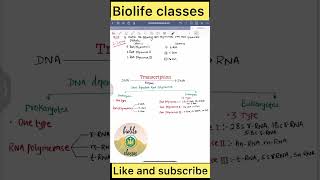 NEET PYQ Transcription enzymes Ncert class12 neet ytshort [upl. by Bronk956]