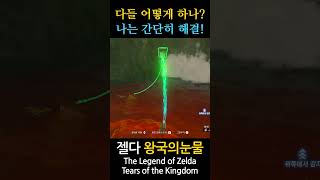 The Legend of Zelda Tears of the Kingdom 159 shorts zelda zeldatearsofthekingdom zeldatotk fyp [upl. by Brook355]