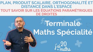 Tout savoir sur les équations paramétriques de droites  Terminale Maths Spécialité [upl. by Elleimac]