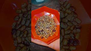 Aprajita ka seed collect kr li  aprajitaplanthouse seed collection gardening ytshorts shorts [upl. by Slein35]