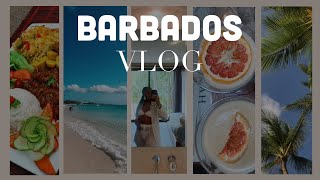 Barbados Vlog 2023  Exploring an Island  Visiting Family [upl. by Rochelle380]