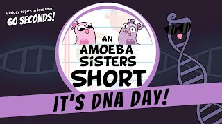 DNA Day 🧬  Amoeba Sisters Shorts DNADay [upl. by Muir563]