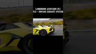 LAMBORGHINI AVENTADOR SVJ  GINTANI EXHAUST SYSTEM [upl. by Ahsikin876]