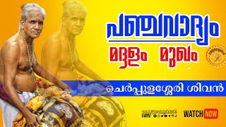 Panchavadyam maddalam Cherpulassery Sivan Eloor Arundev Warrier  Nayathode temple ulsavam [upl. by Ynittirb416]