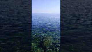 swimming swim creta sea health vitality [upl. by Ediva986]