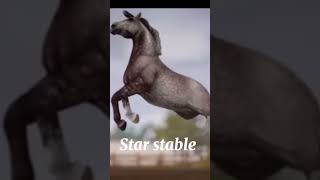 Star stable vs Real life horse starstable sso starstableonline reallife [upl. by Ardnoet621]