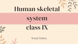 Human skeletal system  class IX ICSE board [upl. by Herb]