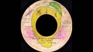 Delano Stewart  Build Our Country  Version MANGO 7quot [upl. by Leval]