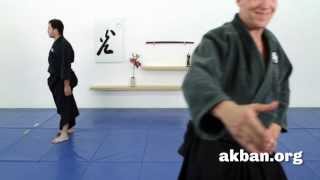 More than 61 Ninjutsu techniques in less than two minutes Green belt techniques from AKBAN [upl. by Sukul]