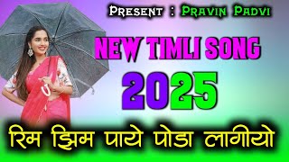 Adivasi Gamit Song 2024  बरसात 💦 Special Gamit Timli Song  Pravin Padvi [upl. by Esetal]