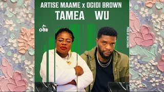 ARTISE MAAME FT OGIDI BROWN  TAMEA WU OFFICIAL MUSIC VIDEO [upl. by Tsnre]