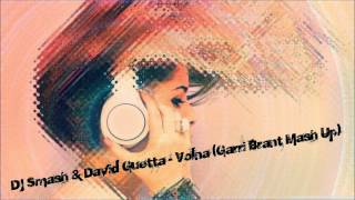 Dj Smash amp David Guetta  Volna Garri Brant Mash Up [upl. by Monjo431]