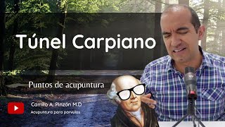 SINDROME DE TÚNEL CARPIANO puntos de acupuntura para su manejo  Acupuntura para párvulos [upl. by Jecon]